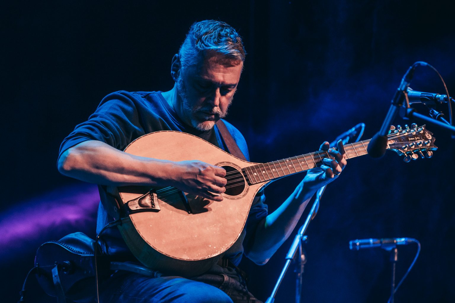 Music, Videos, Photos – willos'